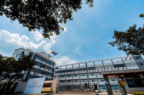 携手法诗尼，共创卸妆新风尚 揭秘三色彩虹卸妆油代加工的专业优势