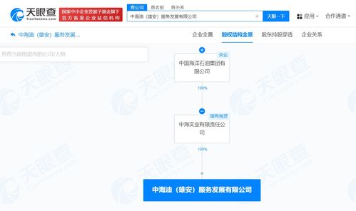 中国海油在雄安成立服务发展公司，注册资本1亿聚焦网络技术服务